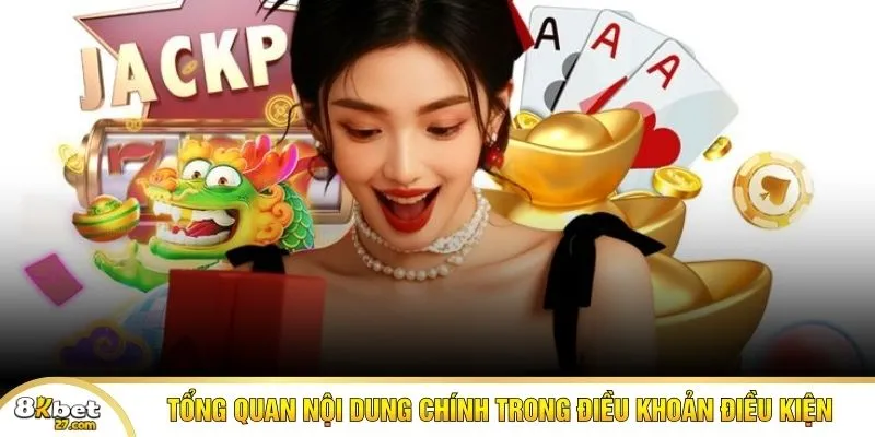 Các hạng mục quan trọng trong điều khoản & điều kiện