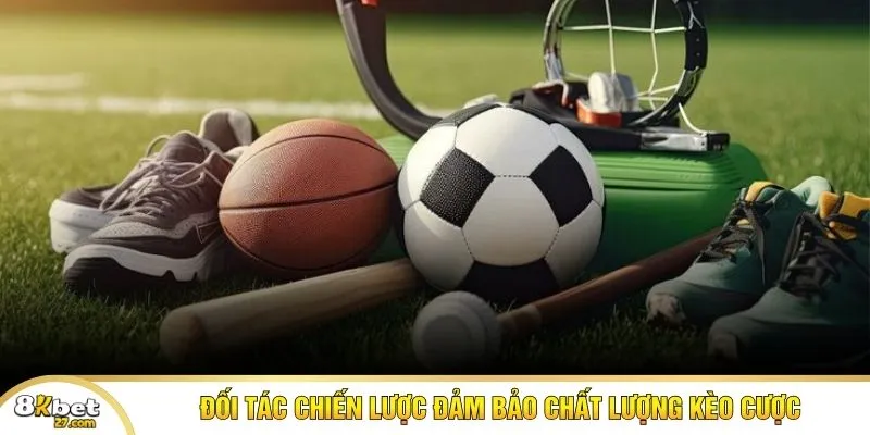 Đối tác chiến lược đảm bảo chất lượng kèo cược