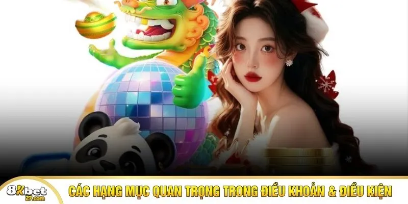 Tổng quan nội dung chính trong điều khoản điều kiện